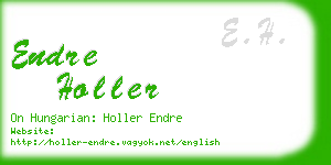 endre holler business card